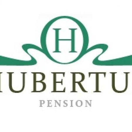 Pension Hubertus Aš Екстериор снимка